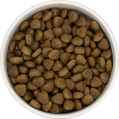 A white bowl filled with Hilltop Super Premium Adult Dog Food - Lamb & Rice by Hilltop Pet Food, viewed from above.