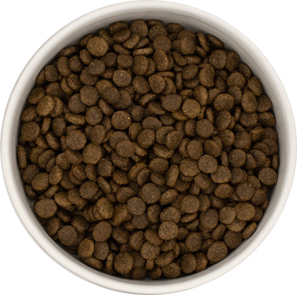 A white bowl with Hilltop Super Premium Small Breed Salmon & Potato dog food, ideal for sensitive digestion.