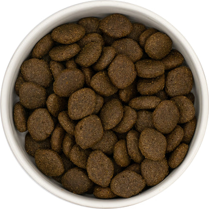 A white bowl filled with Hilltop Super Premium Adult Dog Food - Salmon & Potato by Hilltop Pet Food, viewed from above.