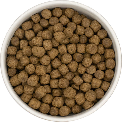 A white bowl filled with Hilltop Super Premium Senior/Light Dog Food, Rich in Fish with Rice, viewed from above.