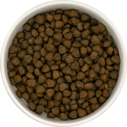 A white bowl of Hilltop Superfood 65 Small Bite Angus Beef dog food, viewed from above.