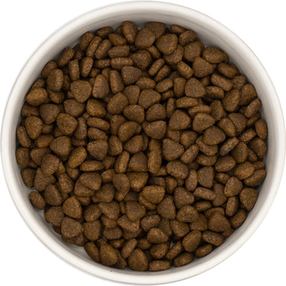 A white bowl of Hilltop Pet Food Superfood 65 Small Bite grain-free turkey & pork kibble, viewed from above.