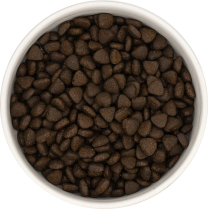 A white bowl filled with Hilltop Pet Food Superfood 65 Small Bite Scottish Salmon kibble, seen from above.