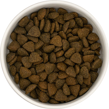 A white bowl filled with Hilltop Superfood 65 Italian Buffalo dog food, viewed from above.