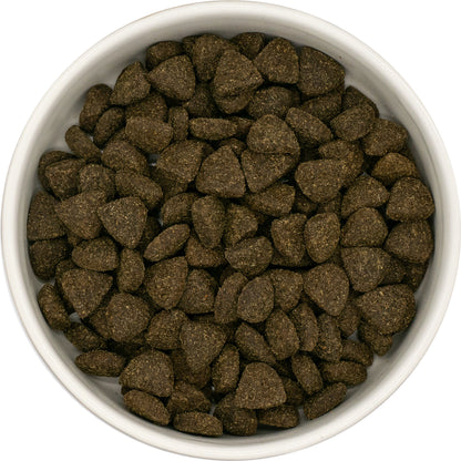 A white bowl filled with Hilltop Superfood 65 Adult Dog Food—grain-free, grass-fed lamb kibble with fruits & veggies.