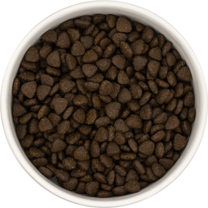 A white bowl of Hilltop Superfood 65 Puppy Dog Food, Scottish Salmon, made with Freshtrusion by Hilltop Pet Food.
