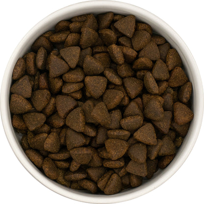 A bowl of Hilltop Superfood 65 Adult Dog Food—Scottish Salmon & veggies—a true superfood by Hilltop Pet Food.