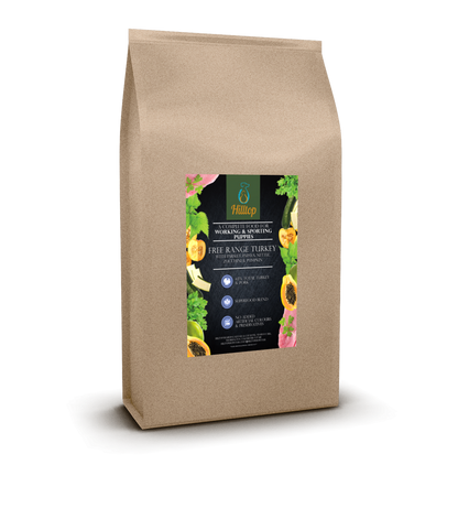 A brown bag of Hilltop Superfood 65 Puppy Dog Food with turkey, pork, fruits & veggies on a vibrant label.