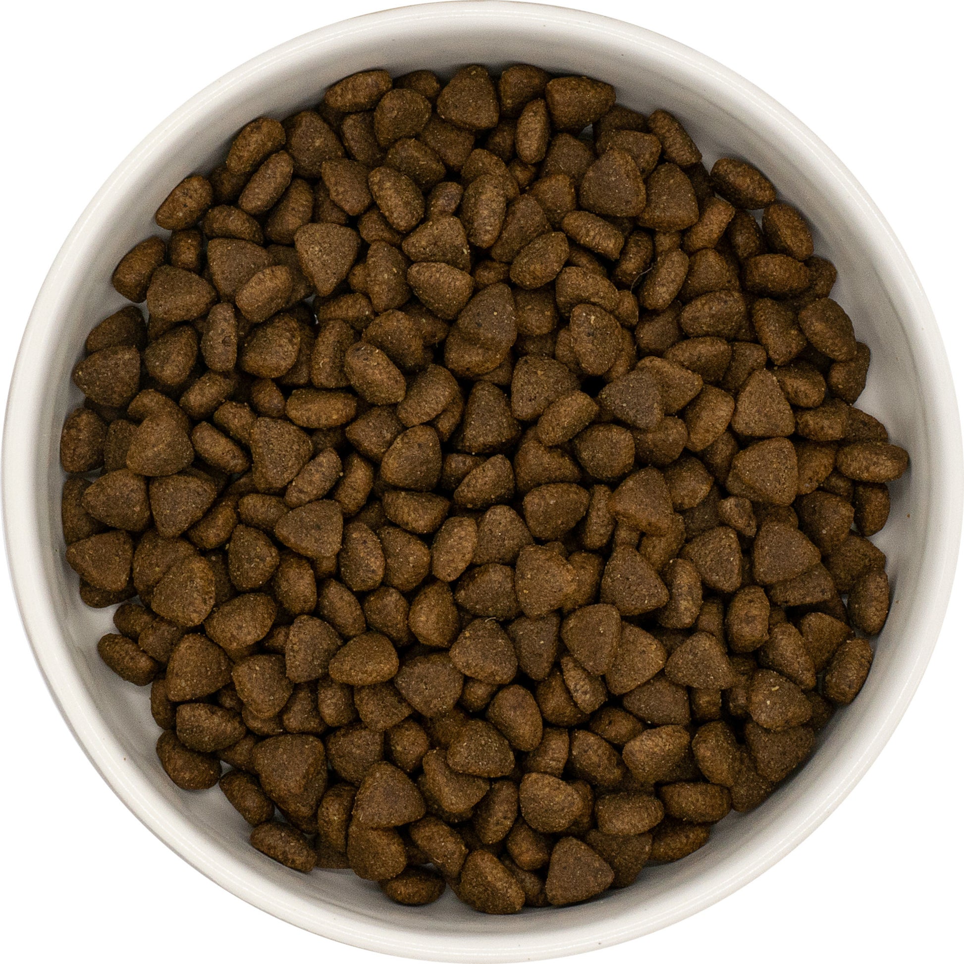 A white bowl of Hilltop Superfood 65 Puppy Dog Food with turkey, pork, and veggies, seen from above.