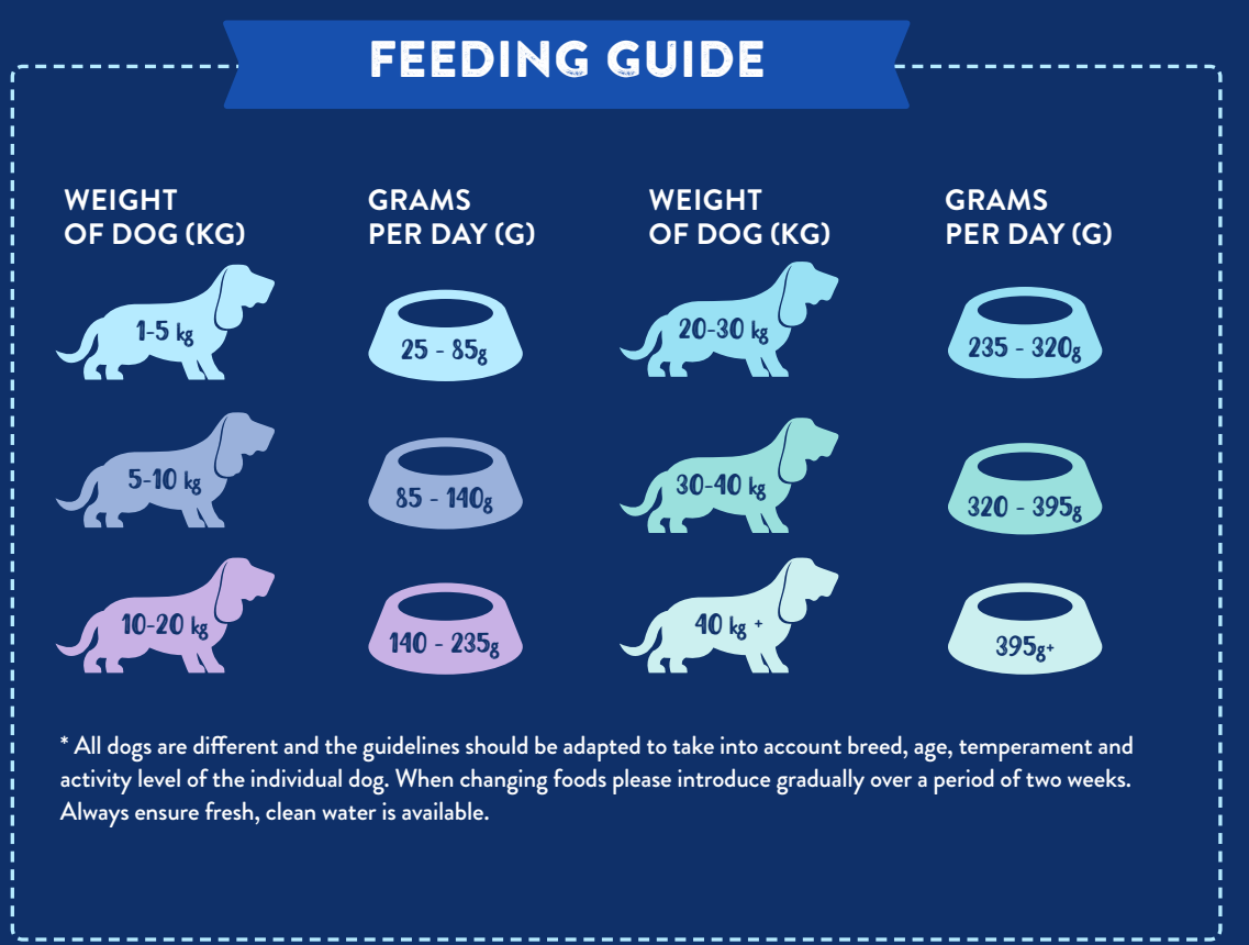Hilltop Pet Foods Superfood 65 English Country Duck dog food feeding chart with daily grams and duck illustrations.