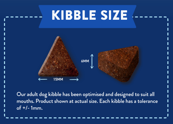 Two triangular kibbles of Hilltop Superfood 65 Adult Dog Food (15mm x 6mm) shown at actual size on a blue background.