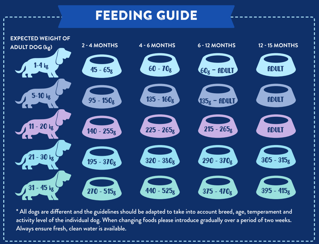 Chart showing daily Hilltop Pet Food portions (g) by puppy weight and age for Superfood 65 Angus Beef recipe.