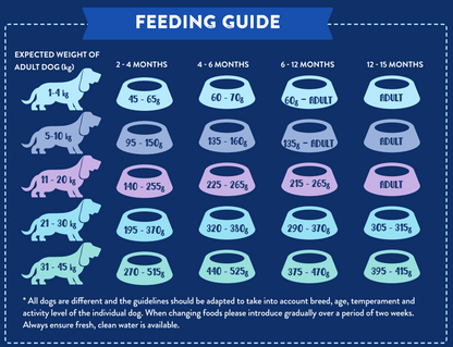 Chart showing daily Hilltop Pet Food portions (g) by puppy weight and age for Superfood 65 Angus Beef recipe.
