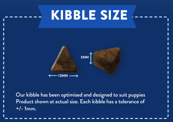 Two triangular Angus beef kibbles, 10mm x 5mm, from Hilltop Superfood 65 Puppy on a blue background.