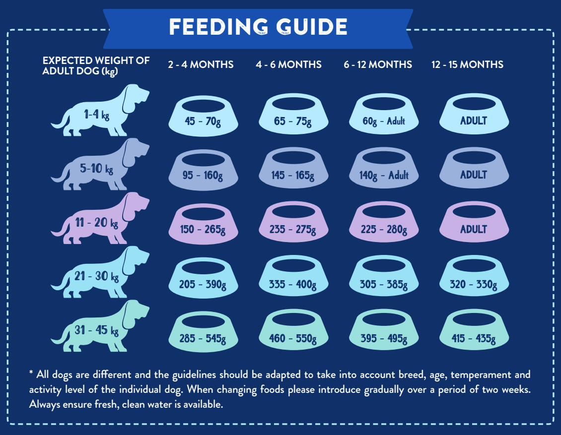 Hilltop Pet Food puppy feeding guide for Superfood 65 Turkey & Pork shows daily grams by age, weight, and portion size.