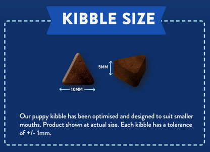 Two triangular brown Hilltop Superfood 65 kibbles, 10mm wide and 5mm thick, shown at actual size with measurements.