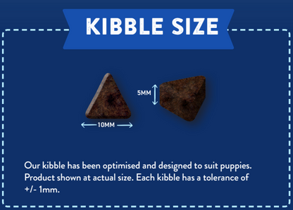 A dark, triangular 10mm x 5mm Hilltop Superfood 65 Puppy Kibble on blue background with size details.
