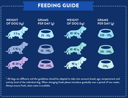 Hilltop Pet Foods Superfood 65 Angus Beef guide: daily grams by dog weight with icons of dogs and bowls in various sizes.
