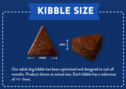 Hilltop Pet Foods Superfood 65 Adult Dog Food, triangular grain-free kibbles (15mm x 6mm), shown on blue background.