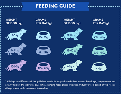 Hilltop Pet Food feeding chart for Superfood 65 Lamb shows daily grams by dog weight with dog and bowl on blue background.
