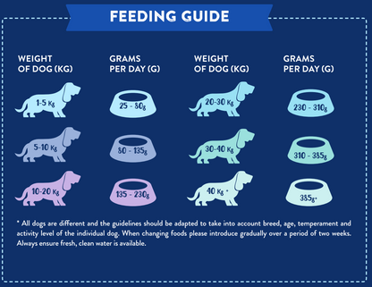 A daily feeding chart for Hilltop Superfood 65 Turkey & Pork dog food by weight in kg and grams.