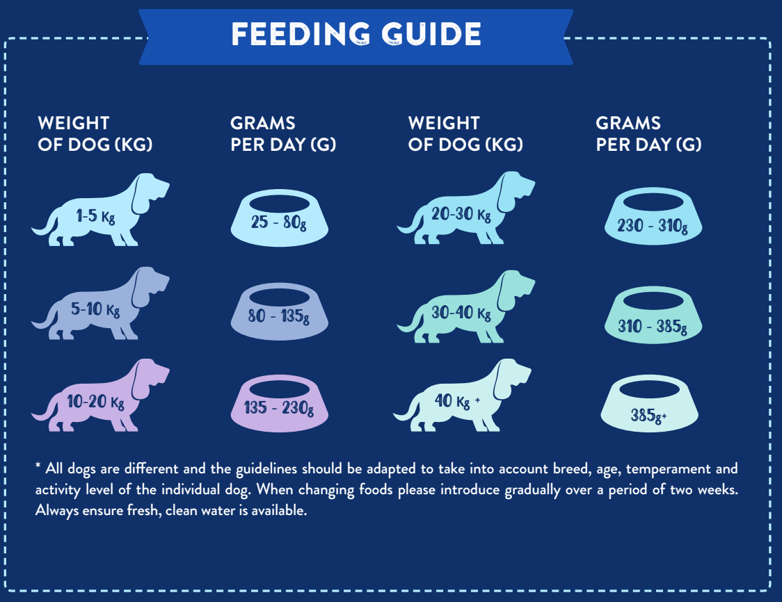 A daily feeding chart for Hilltop Superfood 65 Turkey & Pork dog food by weight in kg and grams.
