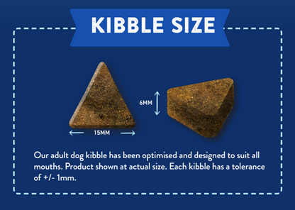 Two triangular brown kibbles of Hilltop Superfood 65 Adult Dog Food - Italian Buffalo, on a blue background.