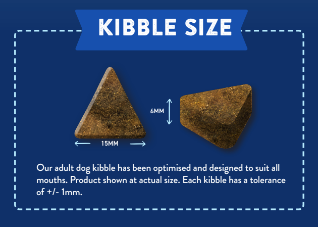 Two triangular brown kibbles of Hilltop Superfood 65 Adult Dog Food - Italian Buffalo, on a blue background.