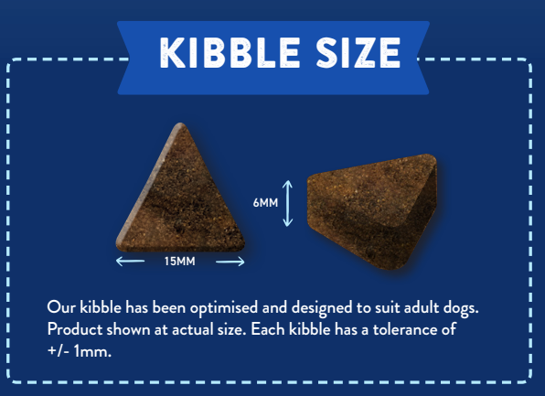 Two triangular Hilltop Superfood 65 kibbles rest on blue; grain-free Scottish Salmon recipe for adult dogs.