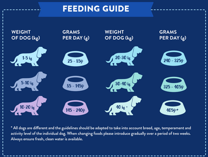 Feeding chart for Hilltop Pet Food Superfood 65 Senior/Light—daily grams by dog weight, Scottish Salmon recipe.
