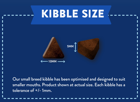 Two brown, triangular kibbles (10mm x 5mm), Hilltop Superfood 65 Small Bite Senior Dog Food Size.