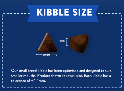Two brown, triangular kibbles (10mm x 5mm), Hilltop Superfood 65 Small Bite Senior Dog Food Size.