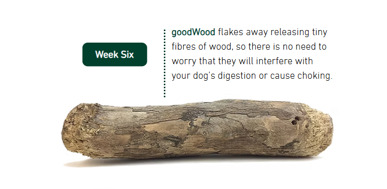 Hilltop Pet Food goodWood Coffee Wood Chewable Stick for Dogs flakes safely for easy digestion.