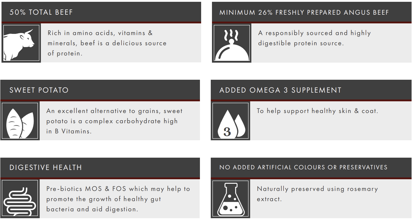 Six labeled boxes highlight Hilltop Grain Free Dog Food’s Angus beef, sweet potato, carrot, and no additives benefits.