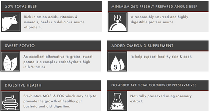 Six labeled boxes highlight Hilltop Grain Free Dog Food’s Angus beef, sweet potato, carrot, and no additives benefits.