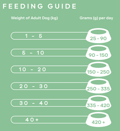 Feeding guide for adult dogs with weight ranges and corresponding daily grams on a green background