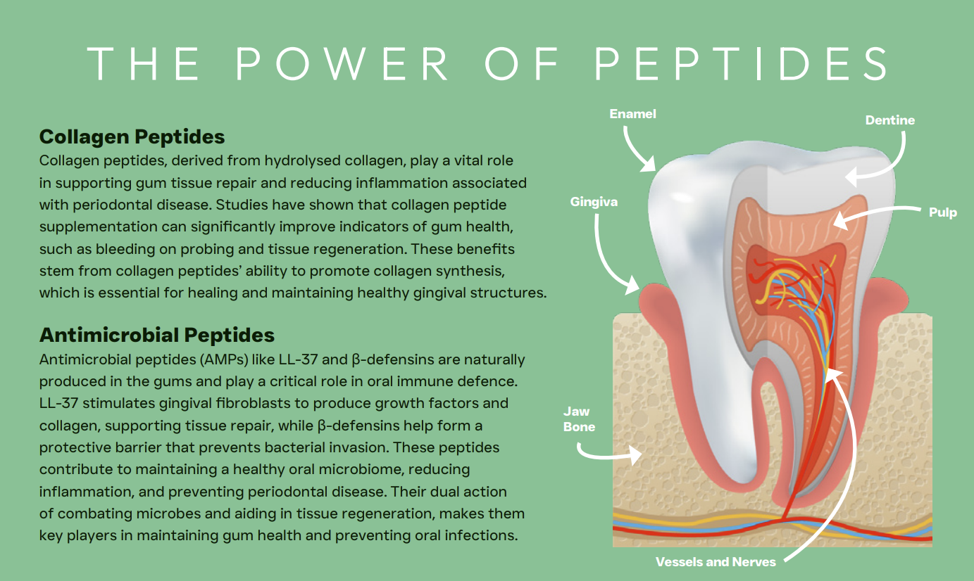 A Hilltop Science Plus - Dental Care diagram by Hilltop Pet Food shows tooth layers, collagen, and peptides for gum health.