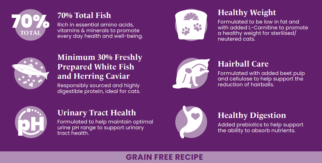 Purple graphic highlights Hilltop Connoisseur Cat Food: grain free, high protein, white fish & herring, urinary & digestion support.