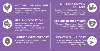 Infographic shows 6 health benefits of Hilltop Super Premium Cat Food KITTEN on a purple background with icons.