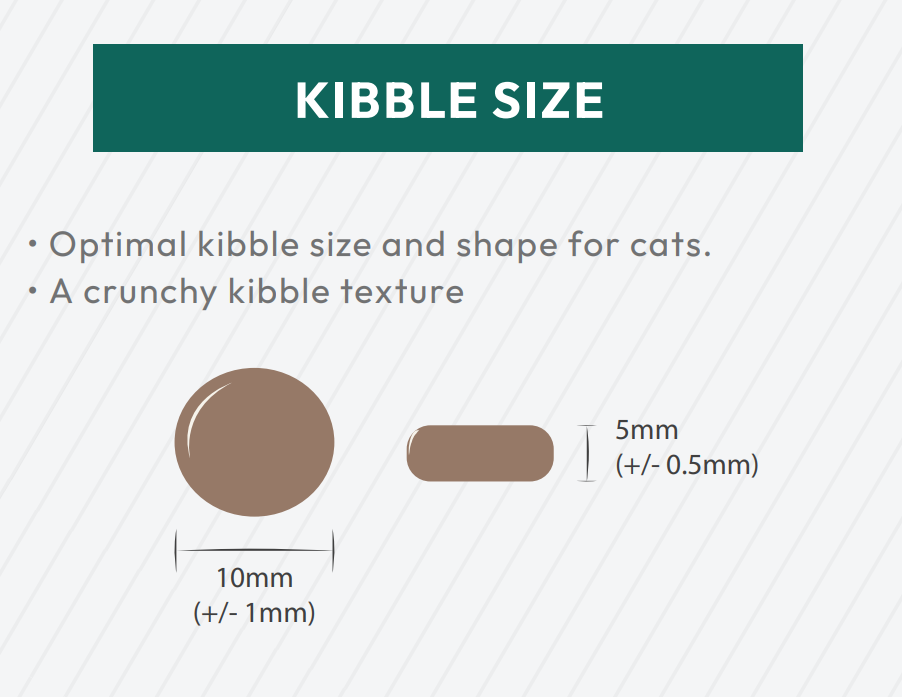 Diagram showing Hilltop Pet Food kibble for seniors, 10mm x 5mm, sized for joint care with a crunchy texture.