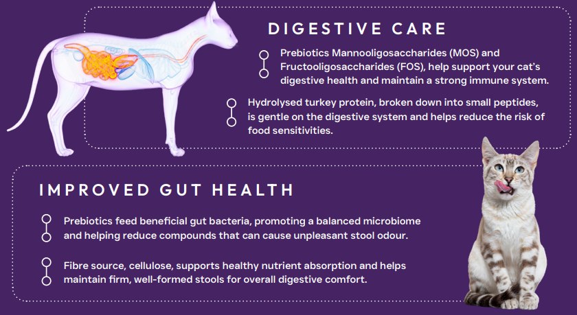 Hilltop Science Plus Cat Food - Hypoallergenic Digestive Care