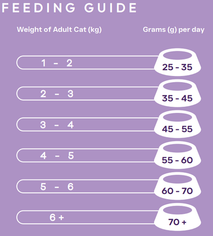 Hilltop Science Plus Cat Food - Hypoallergenic Digestive Care