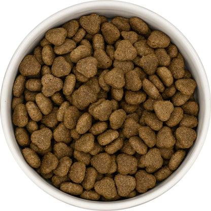 A white bowl filled with Hilltop Super Premium Adult Dog Food - Turkey & Rice kibble, viewed from above.