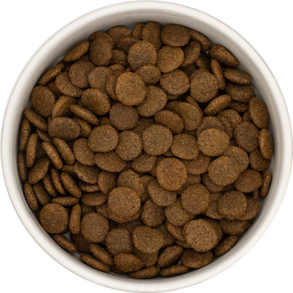 White bowl filled with Hilltop Grain Free Venison, Sweet Potato and Mulberry dog food on a white background