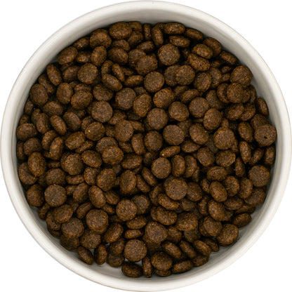 A white bowl of Hilltop Grain Free Adult Cat Food—Fresh Turkey & Sweet Potato kibble, viewed from above.
