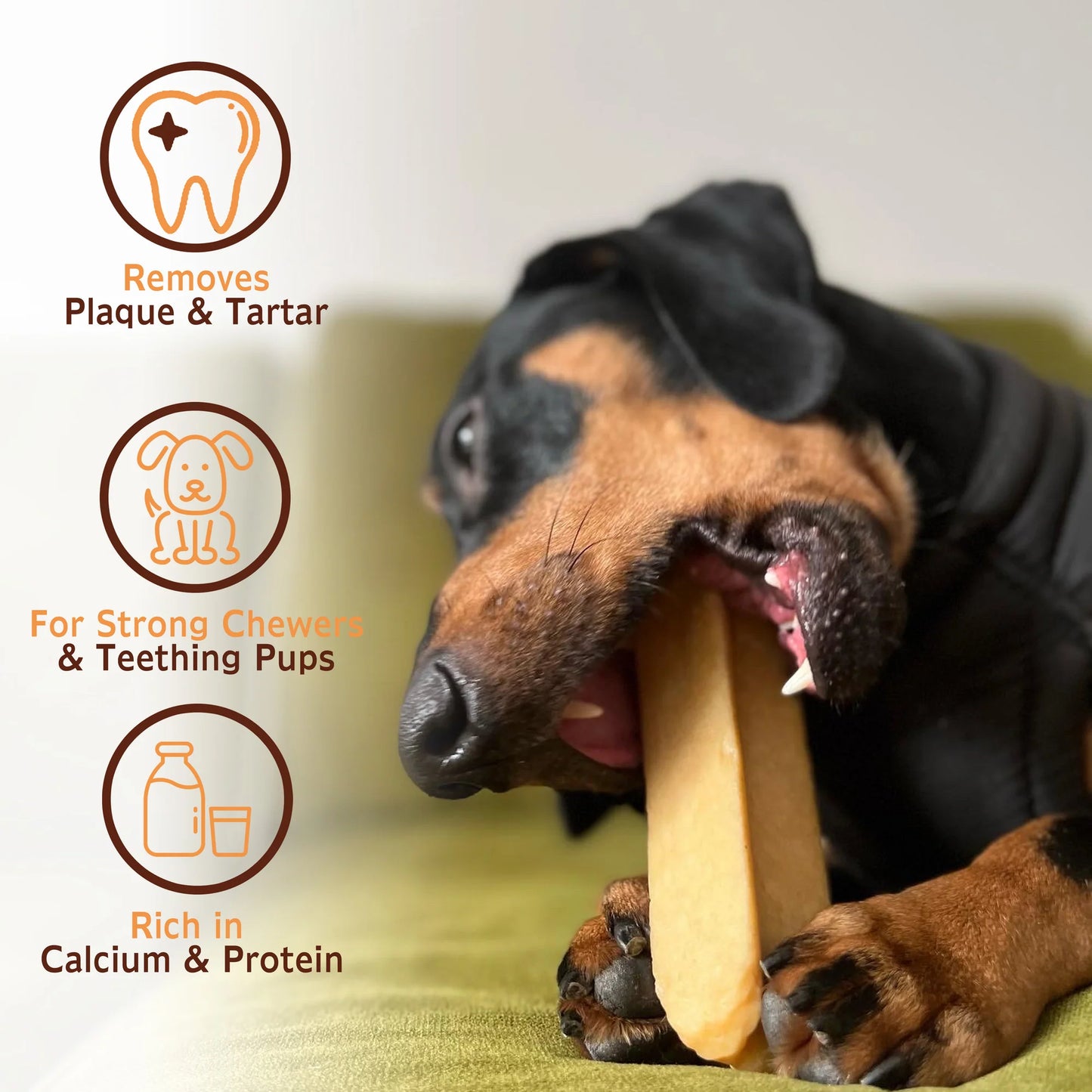 A dog enjoys a Hilltop Pet Food Himalayan Yak Chew—icons highlight plaque removal, teething support, calcium & protein.