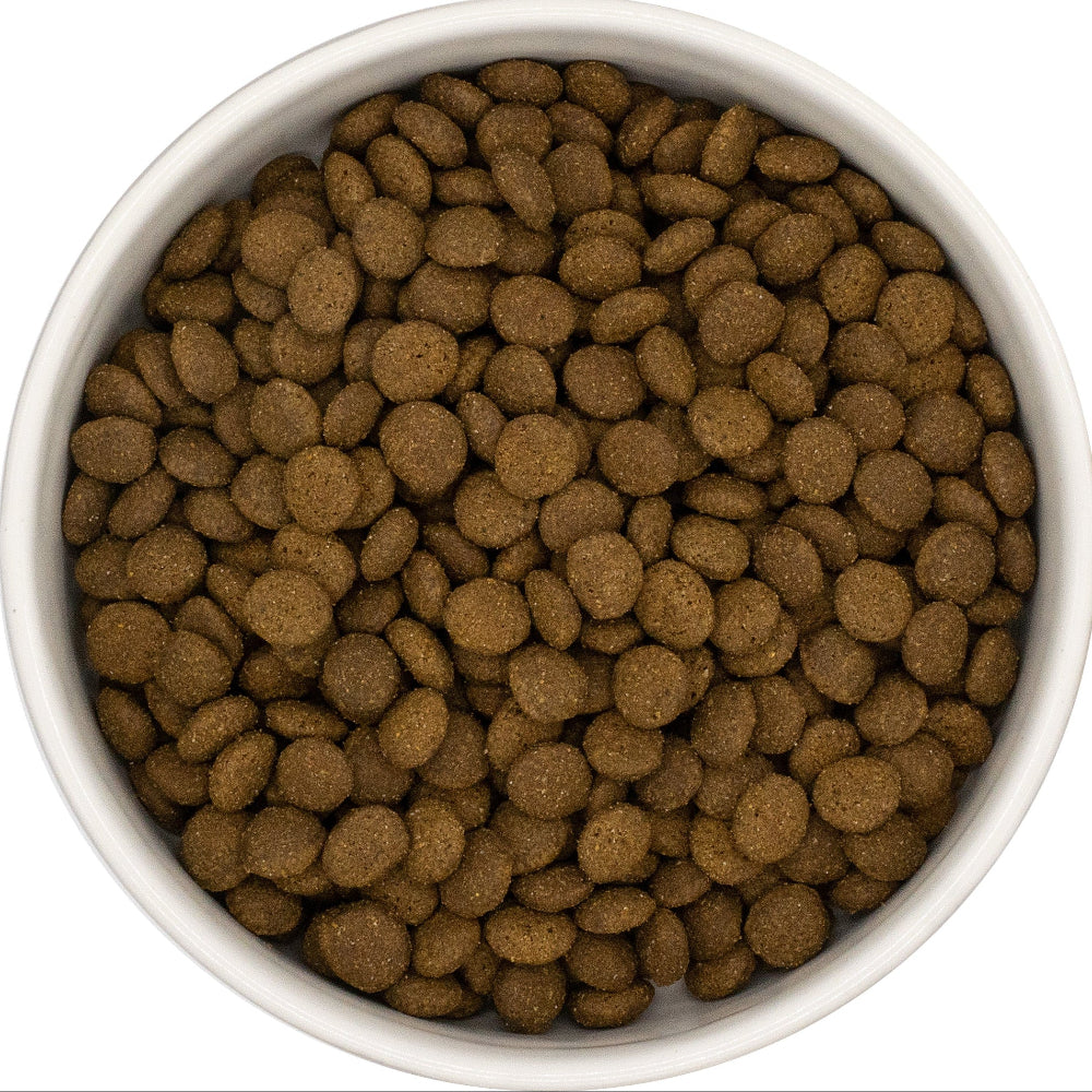 White bowl filled with connoisseur cat food on a white background