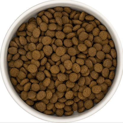White bowl filled with connoisseur cat food on a white background