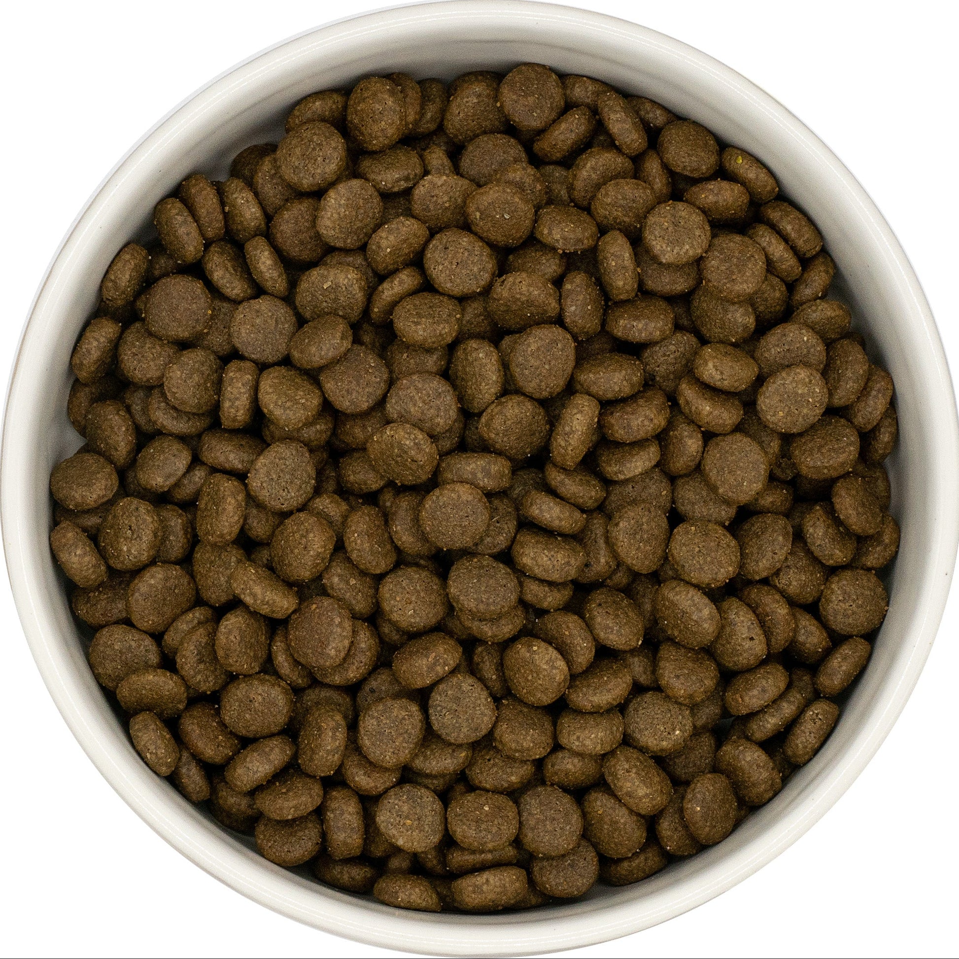 White bowl filled with connoisseur cat food on a white background