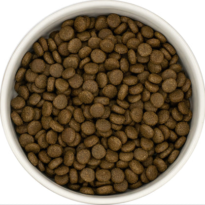 White bowl filled with connoisseur cat food on a white background